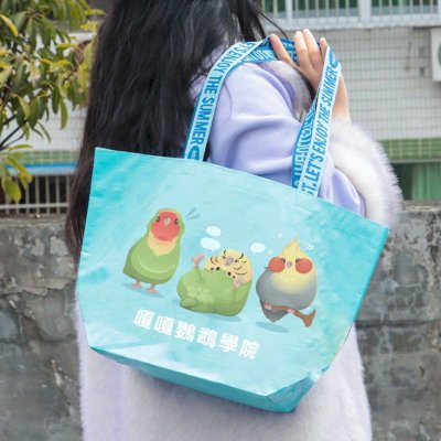 客製彩印PP防水編織袋