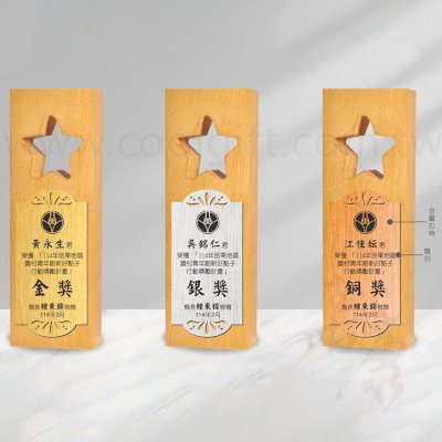 木頭金屬星光獎盃