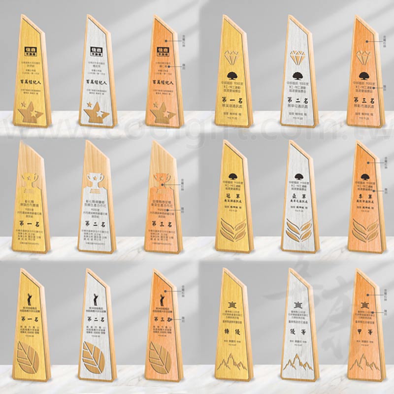 木頭金屬獎盃